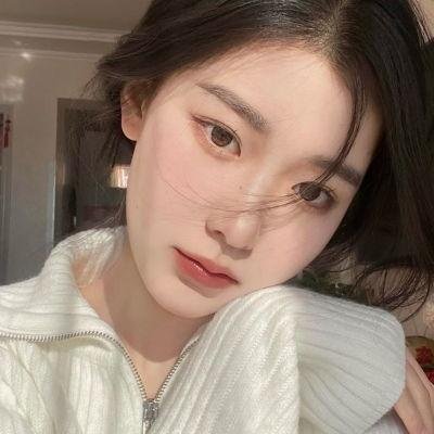 动物宝宝